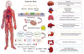 Aluminium phosphide poisoning