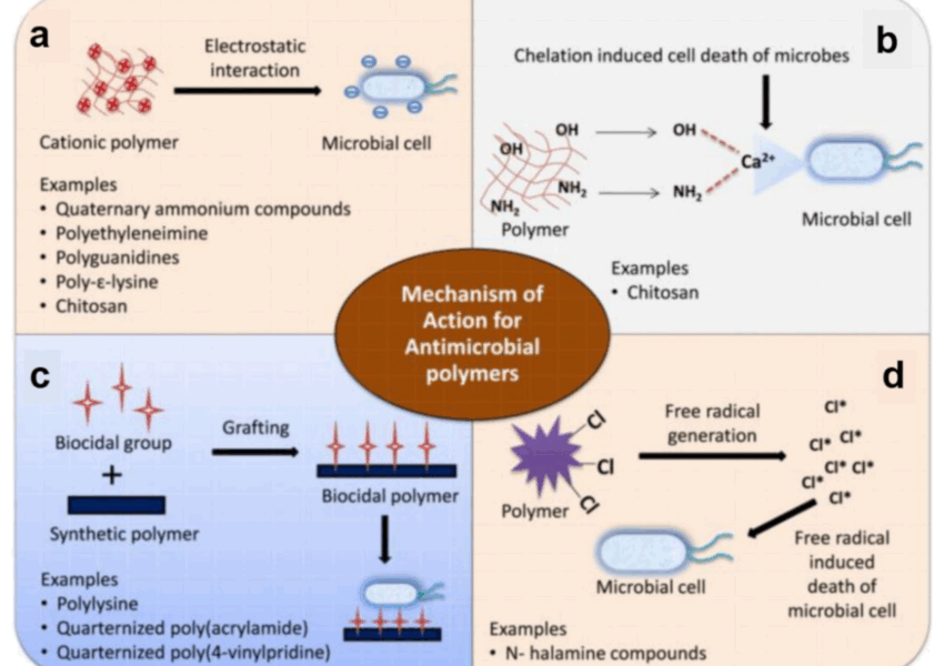 Schematic illustration of mechanisms of action of antimicrobial polymers based on