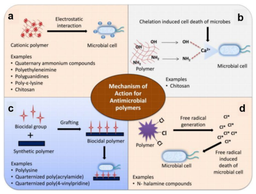 Schematic illustration of mechanisms of action of antimicrobial polymers based on